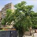 Vitan, Motilor Residence, bl. 2010, Str. Motilor, 5min. metrou Mihai Bravu.